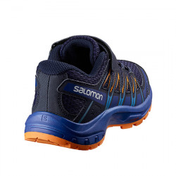 Salomon XA Pro 3D GTX, Zapatillas de Trail Running para Hombre, Azul  (Mazarine Blue/Wil Black/