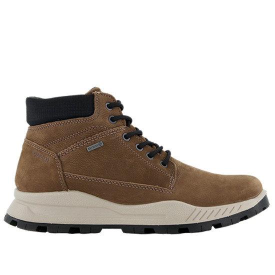 IGI&CO BOTÍN NOBUCK GORE-TEX HOMBRE 6629711 CAMEL IGI030 Color Camel Talla  42